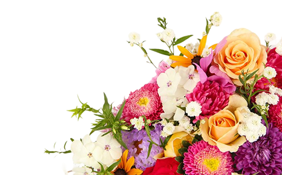 Picture of Flowers