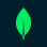 MongoDB Icon